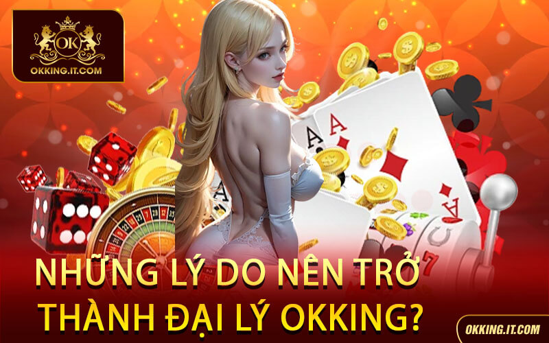 Những lý do nên trở thành Đại lý Okking?