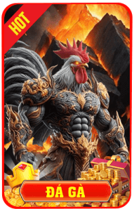 đá gà okking