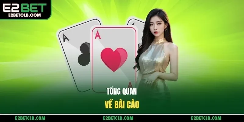 Tổng quan về bài cào